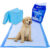 Discount Seller Puppy Pads Large Size Pack of 50 (60×60 cm) Super Absorbent, Multi Layered Leakproof Odour Locking & Attractant Disposable Puppy Training Pads.